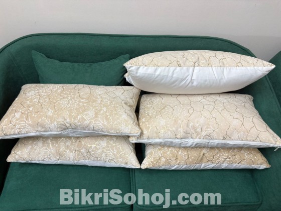 Sofa's Pillow with Covers (22